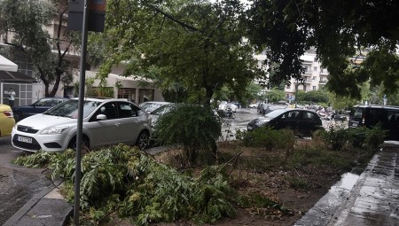 Ζημιές από την κακοκαιρία (video+photos)