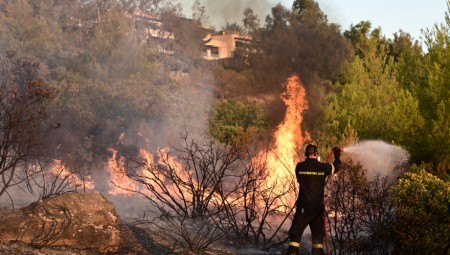 Το μήνυμα της ΠΑΕ Ολυμπιακός για τις φωτιές (photo)