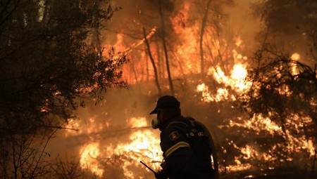 Φωτιές: Εισαγγελική παρέμβαση - Υπόνοιες για οργανωμένη εγκληματική δραστηριότητα