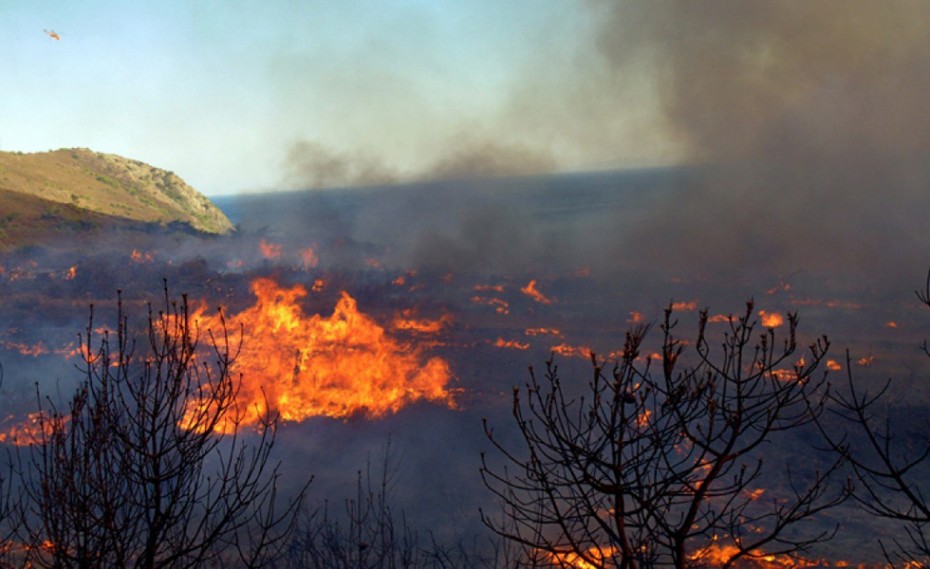 Υπό μερικό έλεγχο η φωτιά στην περιοχή Χιράδες Αρκαδίας