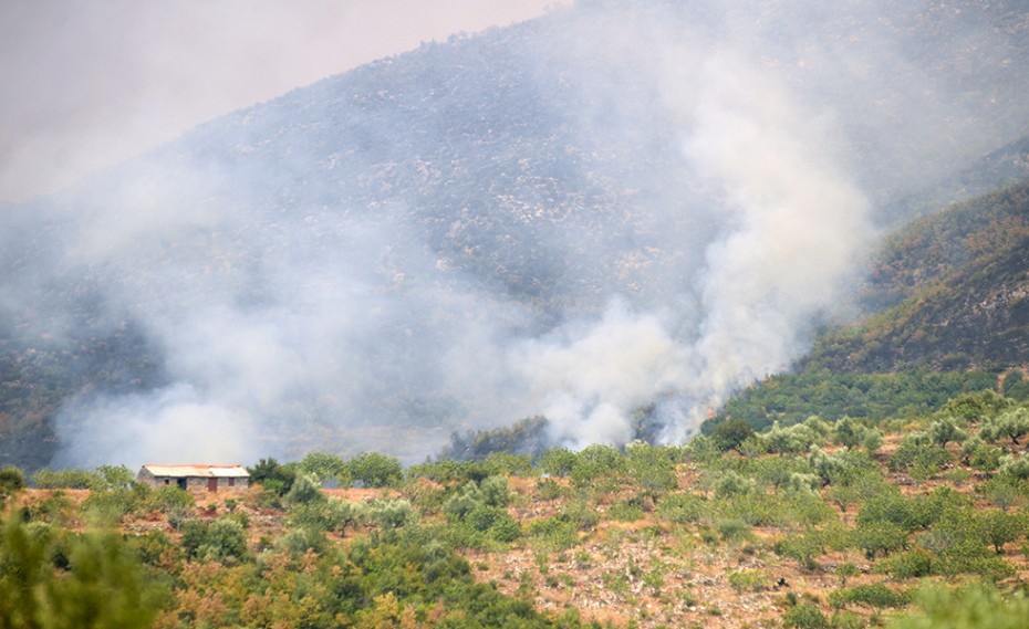 Φωκίδα: Νεκρός ο χειριστής της μπουλντόζας που έπεσε στον γκρεμό!