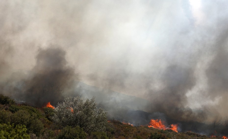 «Συναγερμός» στην Πυροσβεστική, φωτιά στην Κεφαλονιά!