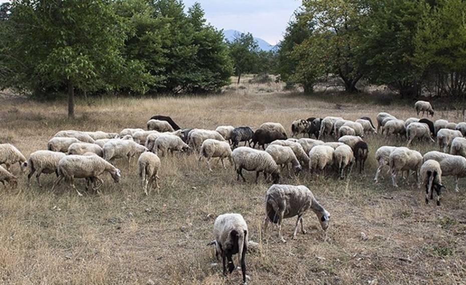 Τι λένε οι παραμυθάδες ρε;