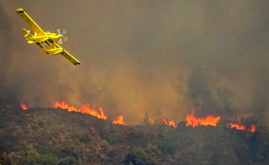 44 πυρκαγιές στην Ελλάδα, σήμερα (14/8)